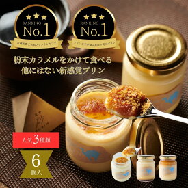 【ふるさと納税】0539 プリン専門店Totto PURIN プリン食べ比べ6個セット　送料無料　スイーツ　プリン セット 洋菓子 デザート お菓子 菓子 お取り寄せ 鳥取砂丘 塩キャラメル 粉末カラメル ランキング