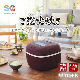 【ふるさと納税】1383 タイガー魔法瓶 圧力IH炊飯器 JPI-X100RX　5.5合炊き　バーガンディ　家電　炊飯ジャー　ご泡火炊き　ごほうびだき　人気　おすすめ　送料無料