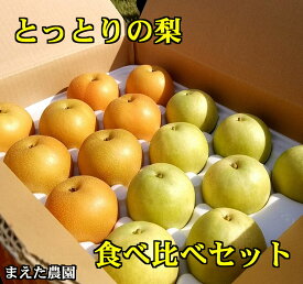 【ふるさと納税】1571 二十世紀と豊水の食べ比べセット 5キロ(まえた農園)　鳥取　　梨　　なし　　送料無料