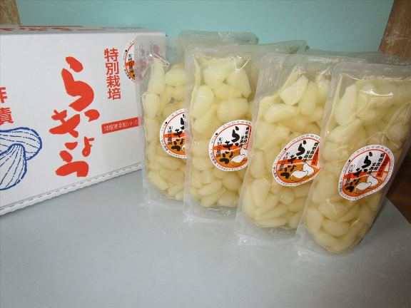 【ふるさと納税】057 特別栽培らっきょうの甘酢漬（８袋セット）らっきょう 鳥取 砂丘 送料無料