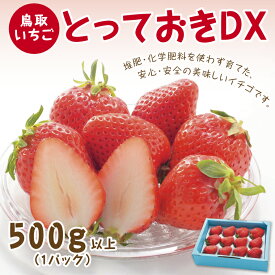 【ふるさと納税】0516 とっておきDX 500g【鳥取いちご】(とみハウス)　　送料無料