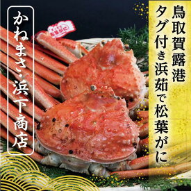 【ふるさと納税】鳥取賀露港 タグ付き浜茹で松葉がに【かねまさ・浜下商店】 | 国産 タグ付き ズワイガニ 松葉ガニ カニ 蟹 かに 浜茹 カニ鍋 かに鍋 鍋 かにしゃぶ かにみそ 期間限定 送料無料 鳥取県 鳥取市
