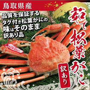 yӂ邳Ɣ[Łz挧Y 󂠂䥂ŏtɁyXz |  Jj I 킢 