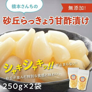 yӂ邳Ɣ[Łz{񂿂̍u傤Ð|Ђ 500g | ӂ邳Ɣ[ 傤   Е Ђ 傤Ђ J[ ܂ т̂ Y 