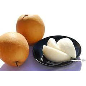 【ふるさと納税】王秋梨 2.5kg【たにがみ農園】 | 鳥取 梨 なし 王秋梨 期間限定 送料無料 鳥取県 鳥取市