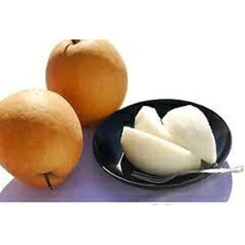 【ふるさと納税】王秋梨 5kg【たにがみ農園】 | 鳥取 梨 なし 王秋梨 期間限定 送料無料 鳥取県 鳥取市