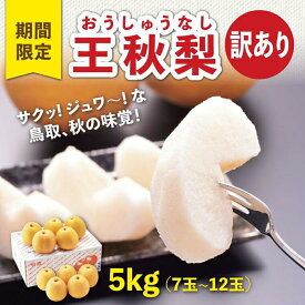 【ふるさと納税】訳あり 王秋梨 5kg【やぶやフルーツガーデン】 | 鳥取 訳あり 梨 なし 王秋梨 期間限定 送料無料 鳥取県 鳥取市
