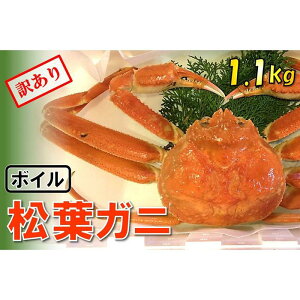 yӂ邳Ɣ[Łzyqz1{Ȃ{CtKj (1,100g) 󂠂 | @Ɂ@I