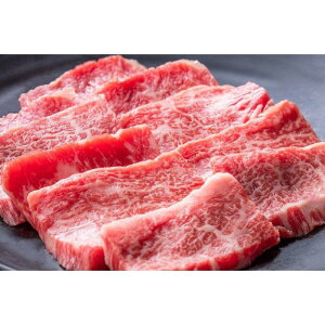 yӂ邳Ɣ[Łza Jr 500g