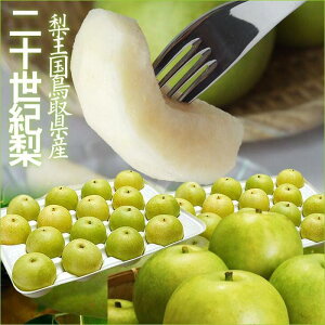 yӂ邳Ɣ[Łz挧Y \I5kg 󂠂ytH[V[Yz |  Ȃ \I \I 5kg 󂠂 ʕ t[c iV Â ʏ` a  Â  Y \I ɂ