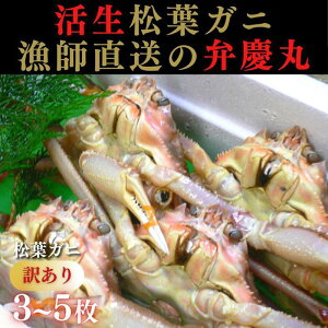yӂ邳Ɣ[ŁztKj 󂠂BZbgwsyٌcہz | 