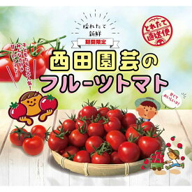 【ふるさと納税】フルーツトマト 1.5kg | 鳥取 野菜 食品 人気 送料無料 フルーツトマト 期間限定 鳥取県 鳥取市