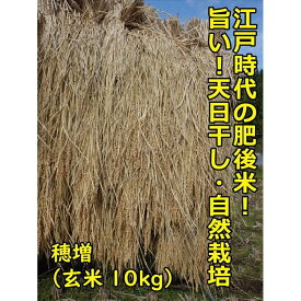 【ふるさと納税】【11月順次発送】江戸時代のお米！ 穂増(玄米) 10kg 令和8年産 | 鳥取 無農薬 自然栽培 玄米 穂増 お米 送料無料 鳥取県 鳥取市