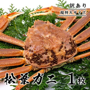 yӂ邳Ɣ[Łzy󂠂z tKji{Cj 1kg  TCYi`Nj | @YCKj@