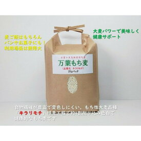 【ふるさと納税】令和8年産 万葉の里鳥取市国府町産「万葉もち麦」2kg | 鳥取 食品 麦 もち麦 モチ麦 健康食品 スーパーフード 数量限定 鳥取県 鳥取市