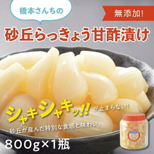 yӂ邳Ɣ[Łz{񂿂̍u傤Ð|Ђ 800g (r) | ӂ邳Ɣ[ 傤   Е Ђ 傤Ђ J[ ܂ т̂ Y 