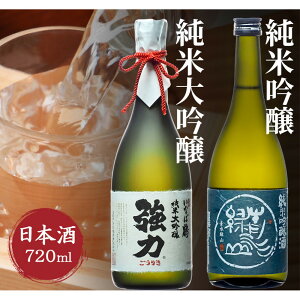 【ふるさと納税】純米大吟醸と純米吟醸 鳥取の地酒(日本酒)飲み比べセット 720ml×2本 | 鳥取 日本酒 酒 飲み比べ ドリンク お酒 鳥取県 鳥取市
