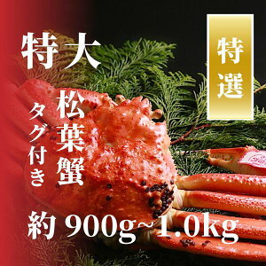 yӂ邳Ɣ[ŁzyIztKj TCY 900g`1kg ^Ot(䥂)