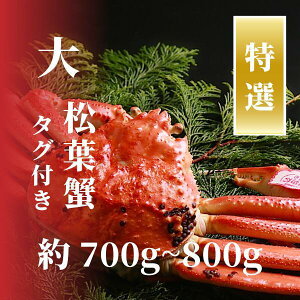 yӂ邳Ɣ[ŁzyIztKj TCY 700g`800g ^Ot(䥂)