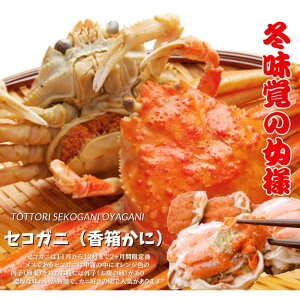 yӂ邳Ɣ[ŁzZRKj TCY150`190g ×5 ipi䥂Łj