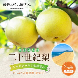 【ふるさと納税】【選べる内容量】二十世紀梨 訳あり 2kg 3kg 10kg (砂丘のなし屋さん) | 鳥取 訳あり 梨 なし 二十世紀 期間限定 送料無料 鳥取県 鳥取市