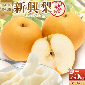 【ふるさと納税】【先行予約】訳あり 数量限定 鳥取県産 新興梨（しんこうなし） 約5kg （8～15玉）≪2026年10月中旬頃出荷≫ | フルーツ 果物 くだもの 食品