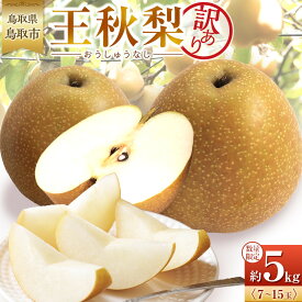 【ふるさと納税】【先行予約】訳あり 数量限定 鳥取県産 王秋梨（おうしゅうなし） 約5kg （7～15玉）≪2026年11月中旬頃出荷≫ | フルーツ 果物 くだもの 食品