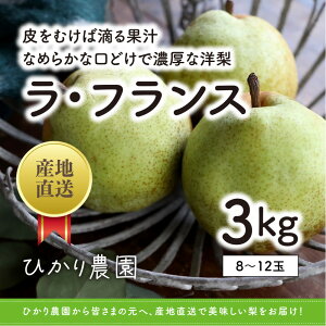 yӂ邳Ɣ[Łzn胉EtX 3LiЂ_j