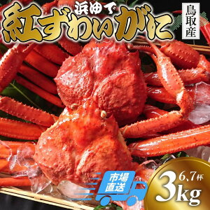 yӂ邳Ɣ[Łz悩璼I 䥂 gYCKj3kg(6`7t) Ⓚy{Cz