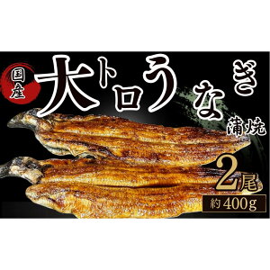 【ふるさと納税】30年間継承されてきた秘伝のタレで焼き上げたうなぎの蒲焼き