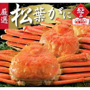 yӂ邳Ɣ[Łzt ^Oti䥂ŁjTCY 1