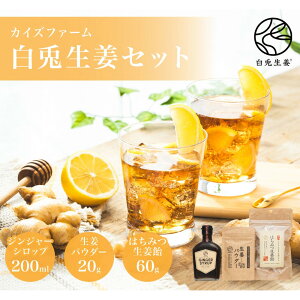 yӂ邳Ɣ[ŁzeIZbg 傤 VEK I WW[ Vbv I IpE_[ ӂ邳Ɣ[ 挧 s  JCYt@[ Mtg