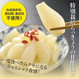 【ふるさと納税】特別栽培らっきょうの甘酢漬（8袋セット） | 鳥取 らっきょう 送料無料 らっきょ ラッキョウ 辣韭 おつまみ 肴 ご飯のおとも カレー 野菜 旬 漬物 漬け物 国産 鳥取産 鳥取砂丘 らっきょう漬け 鳥取県 鳥取市