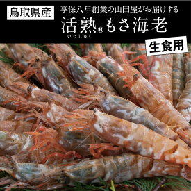 【ふるさと納税】0582 鳥取県産 生食用もさ海老(山田屋)　　えび　エビ　シーフード