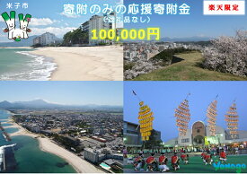 【ふるさと納税】楽天限定 米子市応援寄付金100,000円（返礼品なし）【21-000-003】