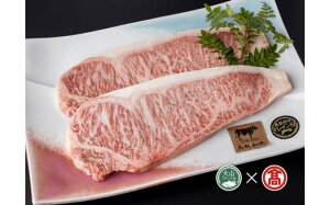 yӂ邳Ɣ[ŁzyFeTƁza A4Nȏ T[CXe[Lp 180g×2 v360giRuhjy38-CE6z uh a  Y 挧Y  O  O