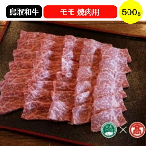 yӂ邳Ɣ[ŁzHANAFUSA a  ēp 500giRuhjⓀy34-AC2z͂ȂӂX    a  Ă LjN Y 挧Y n  O BBQ o[x