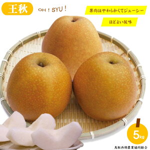 yӂ邳Ɣ[Łz 挧Y  H イ 5kgy10{珇zy25-014-016zy搼_Ƌg ʎہzʌ H iV Ȃ t[c ʕ  fU[g 