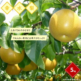 【ふるさと納税】先行予約 梨 幸水 5kg 8月上旬頃から順次発送 鳥取西部農業協同組合 米子・あいみ果実部 ナシ 果物 フルーツ なし 果汁 和梨 鳥取県産 くだもの 5キロ 先行受付 お取り寄せ 数量限定 こうすいなし 産地直送 鳥取県 米子市 送料無料【25-014-012】
