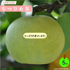 【ふるさと納税】先行受付 梨 なつひめ 5kg 8月中旬頃から順次発送 鳥取西部農業協同組合 米子・あいみ果実部 梨 ナシ 果物 フルーツ なし 鳥取県 米子市 鳥取県産 くだもの 青梨 5キロ 先行受付 お取り寄せ 数量限定【26-015-011】