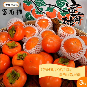 yӂ邳Ɣ[Łz xL` 3kgy24-012-020zʏIʏ ʌ ` JL  ʕ t[c 挧Y  s\  ӂ䂤 挧 Ďqs y11{珇