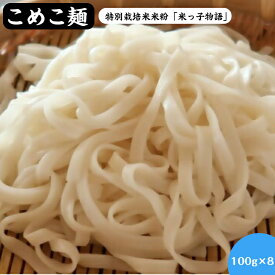 【ふるさと納税】米粉100％ こめこ麺 100g×8袋 計800g 冷凍【24-010-030】鳥取県産 特別栽培米使用 米粉麺 グルテンフリー ライスヌードル ライスパスタ 冷麺 鍋 お取り寄せ グルメ 鳥取県 米子市 送料無料