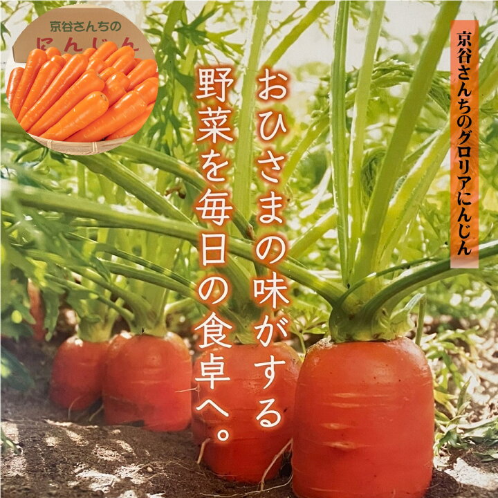 楽天市場】【ふるさと納税】先行受付 旬の冬にお届け！京谷さんちの 