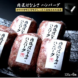 【ふるさと納税】肉匠はなふさ ハンバーグ 120g×6個 冷凍【24-013-029】はなふさ