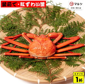 【ふるさと納税】蟹屋の釜茹で紅ずわい蟹(大)500〜600g×1杯 冷蔵 境港産【25-018-001】【老舗「蟹専門店」株式会社マルツ】塩茹で ボイル済 かに カニ 蟹 紅ずわいがに 鍋 海鮮 海の幸 鳥取県