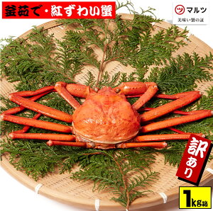 yӂ邳Ɣ[Łz y󂠂z@I̊䥂ōg킢I1kgl߃Zbgi500gO×2tj① `Yy25-023-004zЃ}c 䥂 {C  Jj I g킢  CN 挧Y