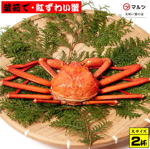 yӂ邳Ɣ[Łz I̊䥂ōg킢I2tZbgij500g`600g×2t ① `Yy25-035-002zЃ}c 䥂 {C  Jj I g킢  CN C̍K 挧Y 挧 