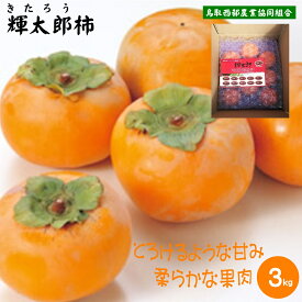 【ふるさと納税】 輝太郎柿 きたろうかき 3kg 先行予約 10月上旬頃から順次発送 鳥取西部農業協同組合 米子・あいみ果実部 3キロ 旬 果物 フルーツ くだもの 甘い 糖度 産地直送 ご当地 鳥取県産 鳥取県 米子市【26-015-007】