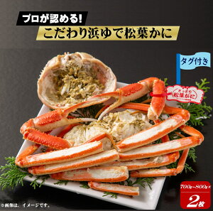 【ふるさと納税】先行予約 松葉がに プロが認めるこだわり浜ゆで松葉かに 700g〜800g/1枚 ×2枚 冷蔵【11月15日〜2月末発送】(12/25〜1/10配達不可) 足立本店 松葉蟹 松葉ガ二 蟹 カニ かに 浜茹