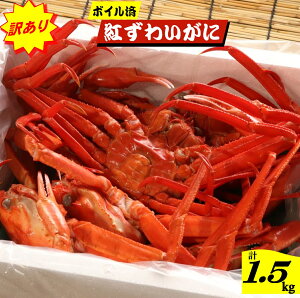 yӂ邳Ɣ[Łzy󂠂z`Y r܂ gYCKj 5`7tO v1.5kg {C ①y25-020-013z{N悵 ܂ ʌ I  Jj g킢 挧Y CN C̍K 